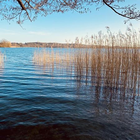 Landhaus Am See App. 2 Ponitz am See Exteriör bild