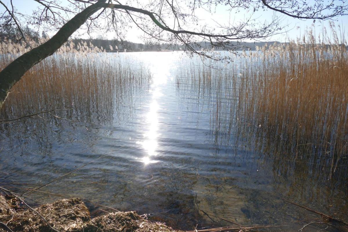 Landhaus Am See App. 2 Ponitz am See Exteriör bild